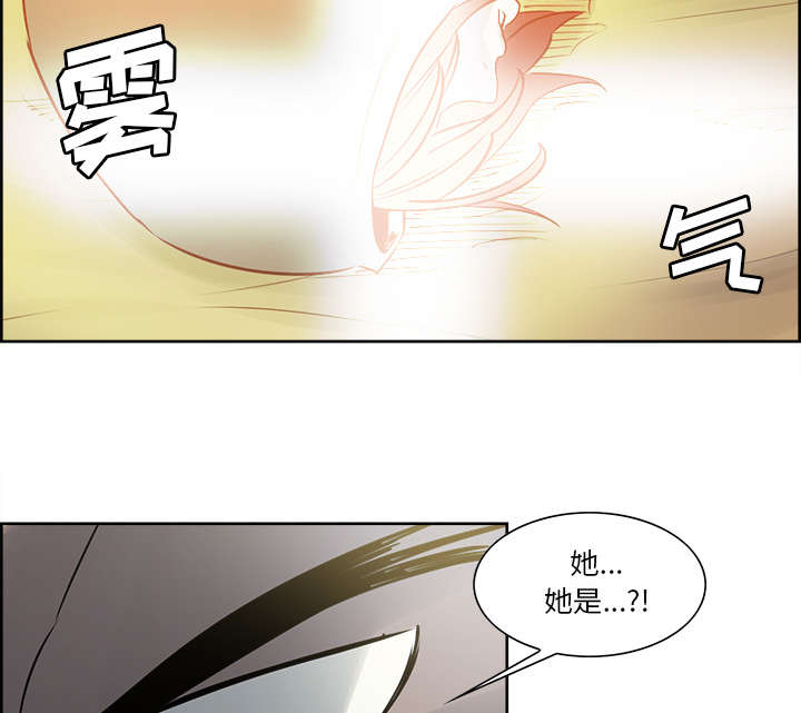 第30章：伪装29
