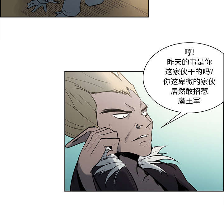 第30章：伪装21