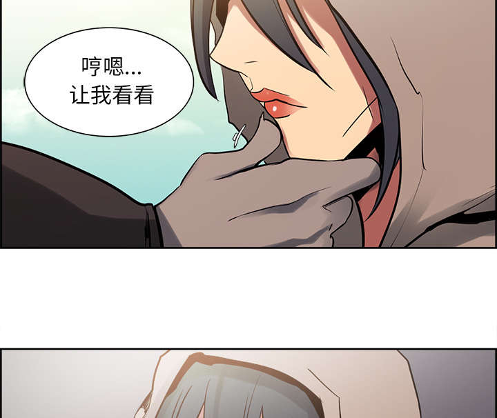第30章：伪装43