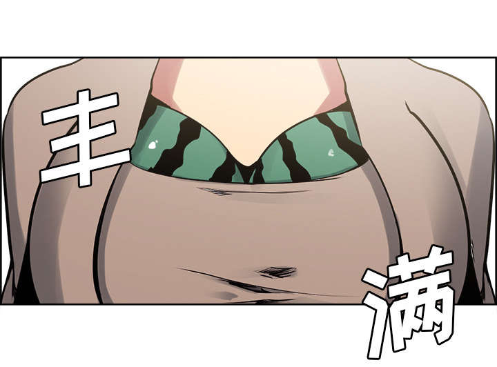 第30章：伪装4