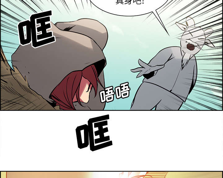 第30章：伪装28