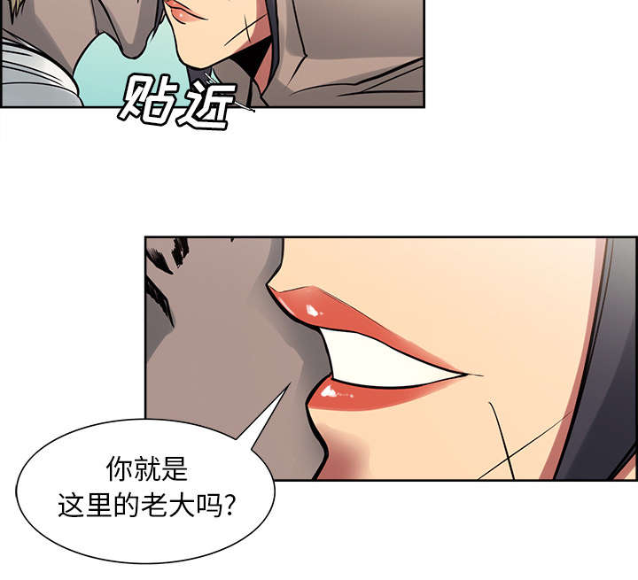 第30章：伪装48