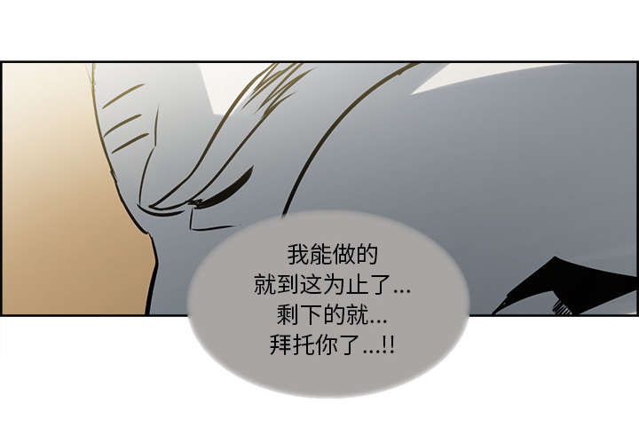 第30章：伪装35