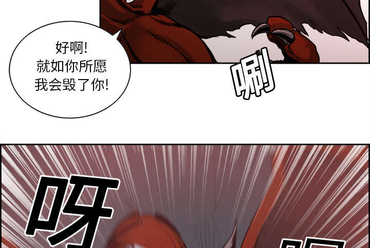 第18章：龙是什么样的存在41