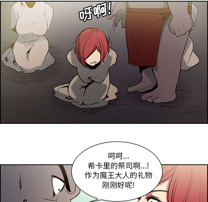 第30章：伪装36