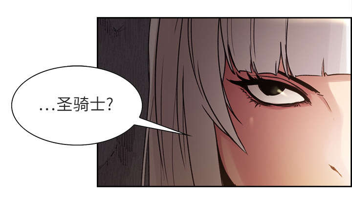 第8章：白影子军团9