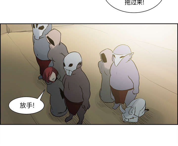 第30章：伪装34