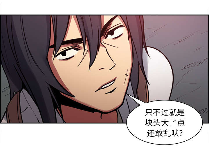 第18章：龙是什么样的存在27