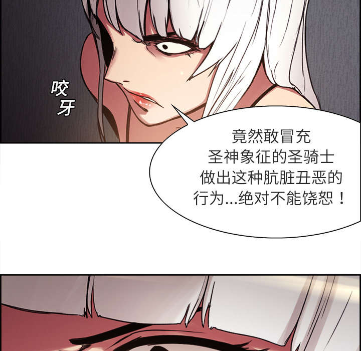 第8章：白影子军团12
