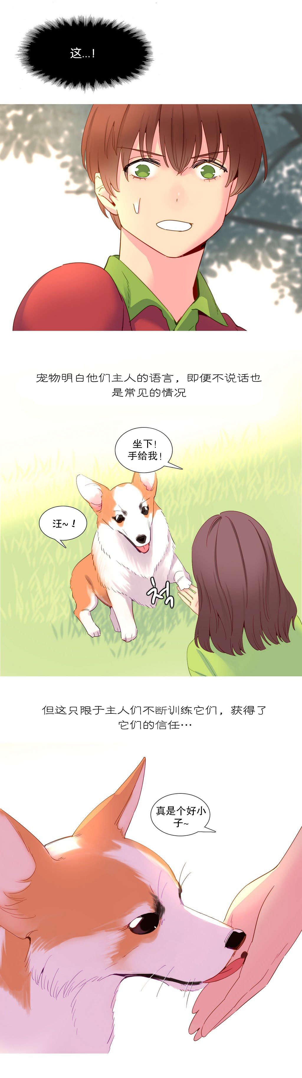 第15章：理解2