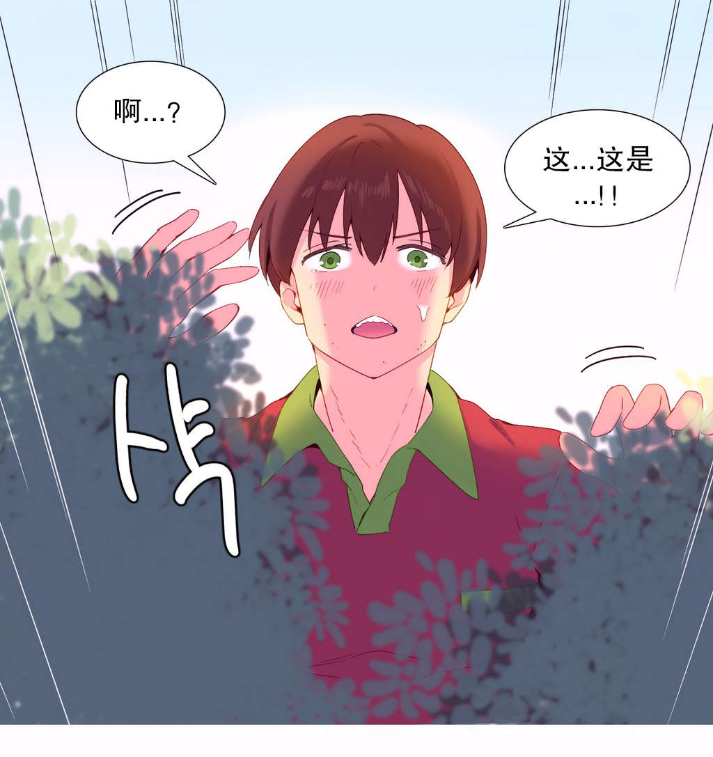 第12章：发现11