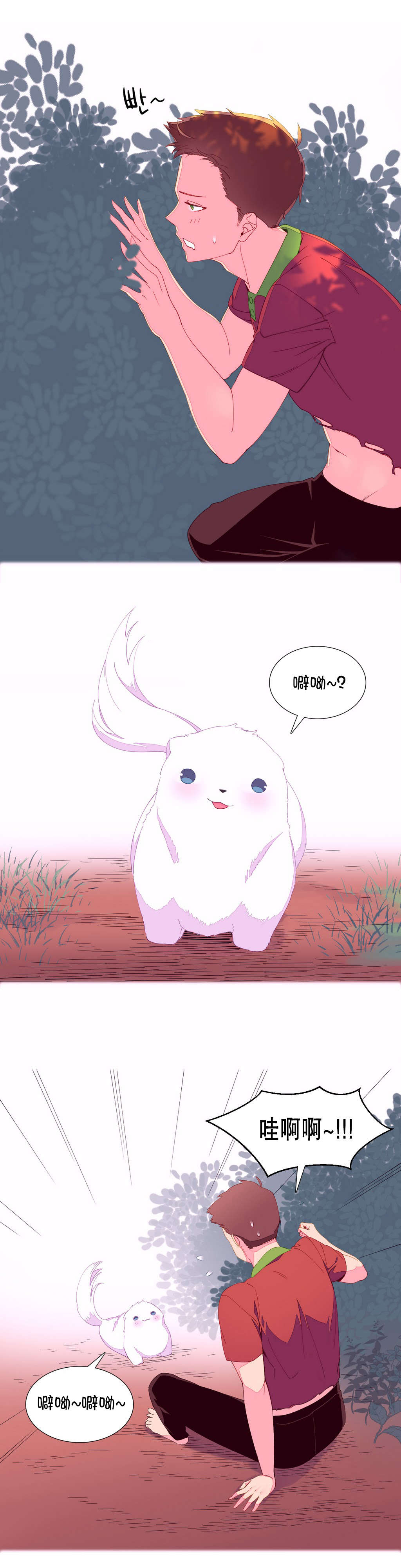 第5章：土着11