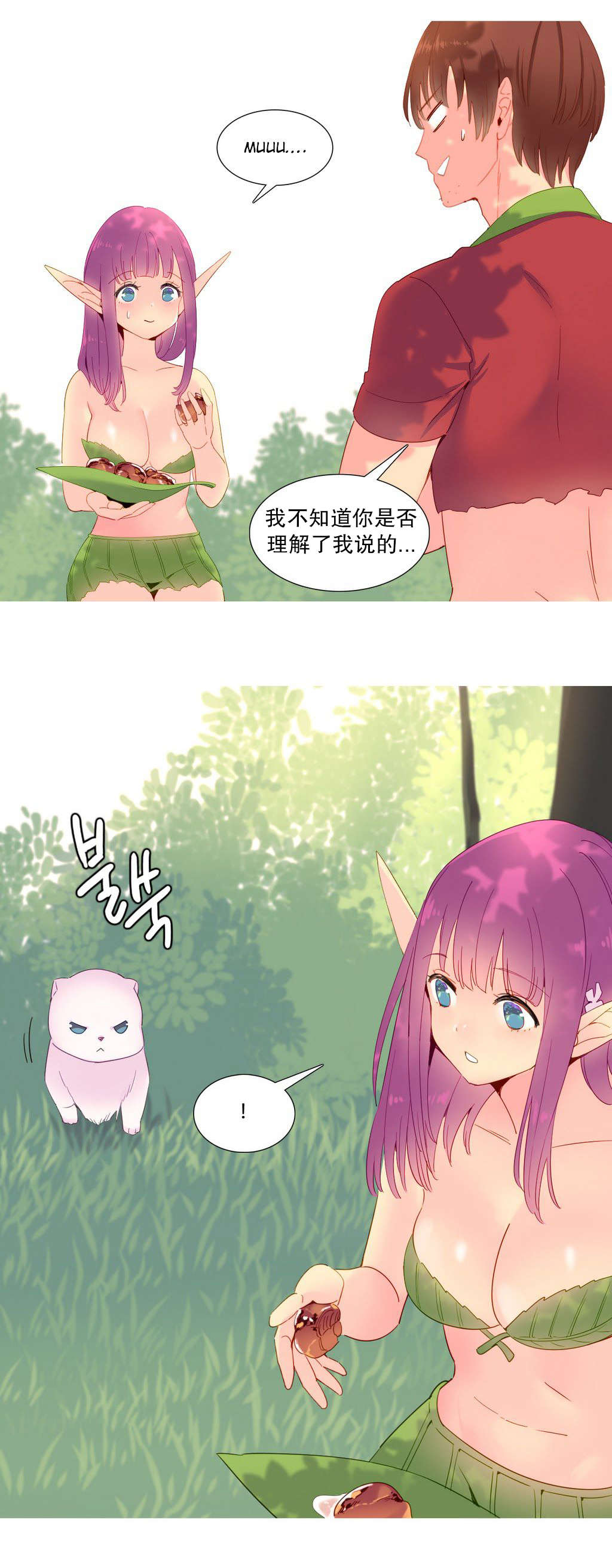 第15章：理解14