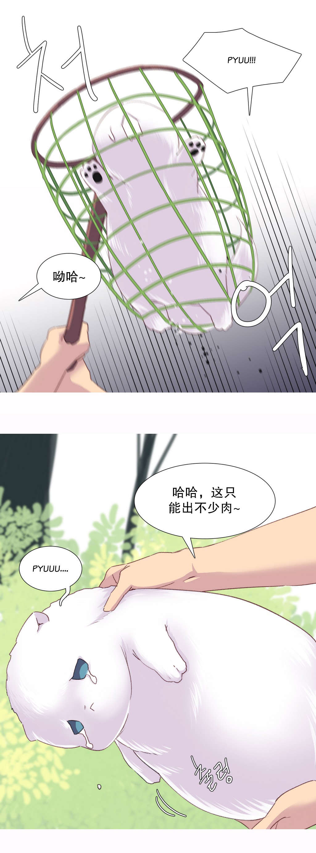 第29章：失败11