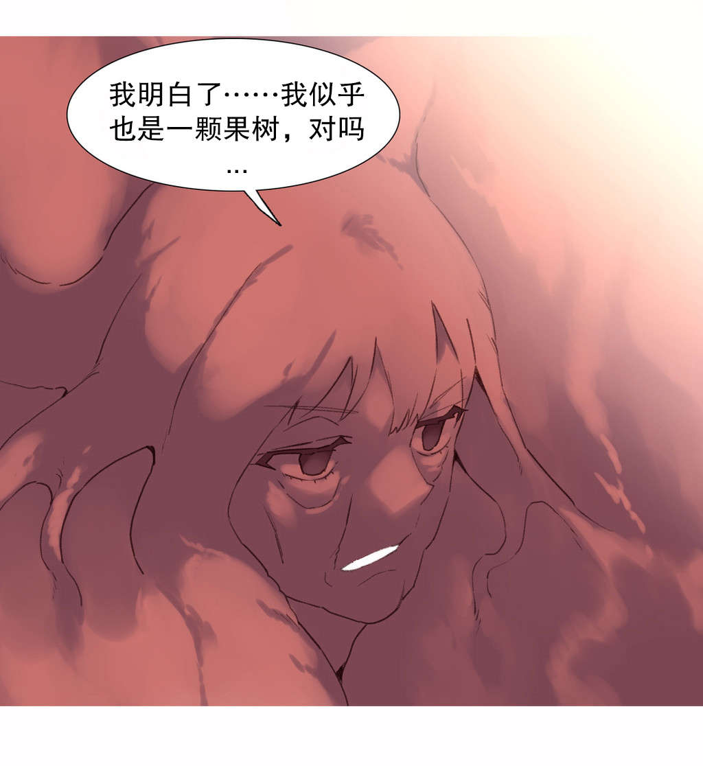 第41章：结局7