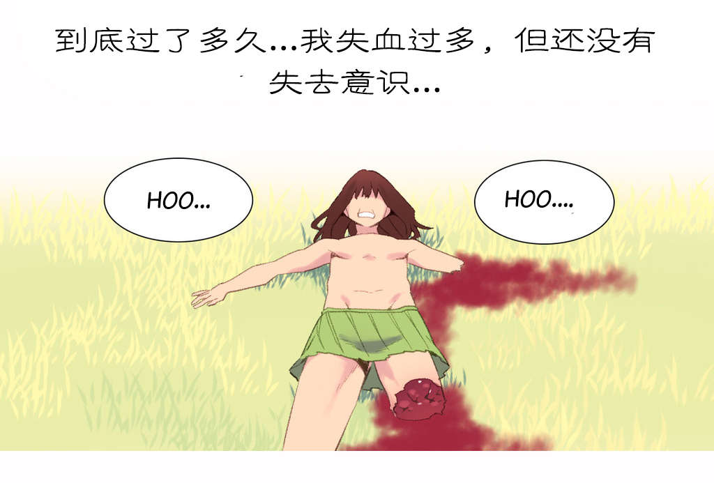 第41章：结局0