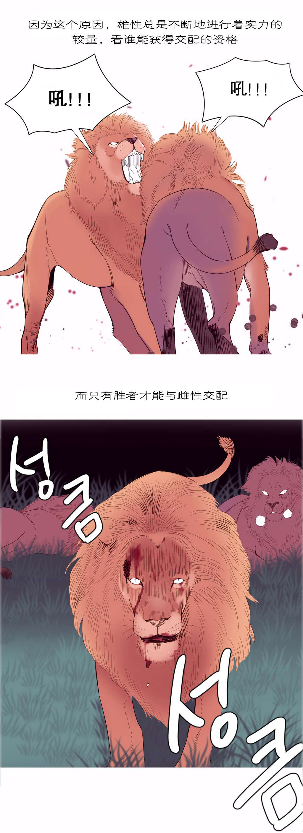 第10章：自由国度9