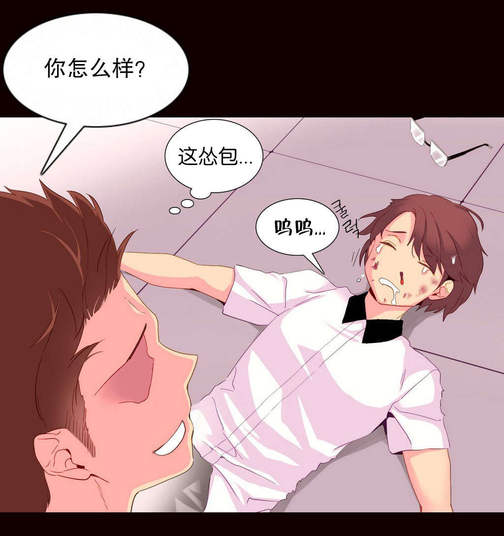第26章：机会11