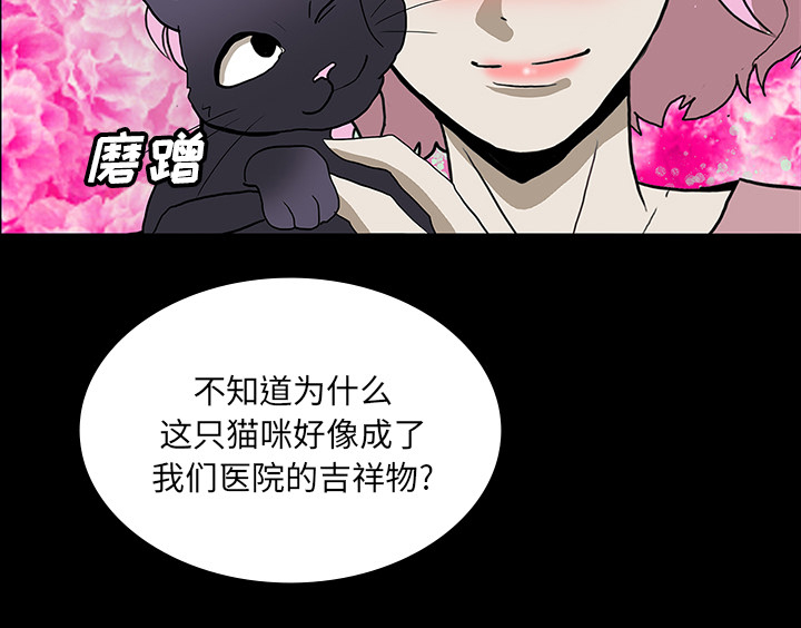 第48章：惊喜派对7