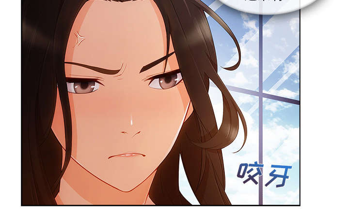 第65章：广告概念11