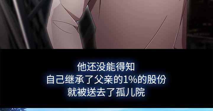 第55章：股份17