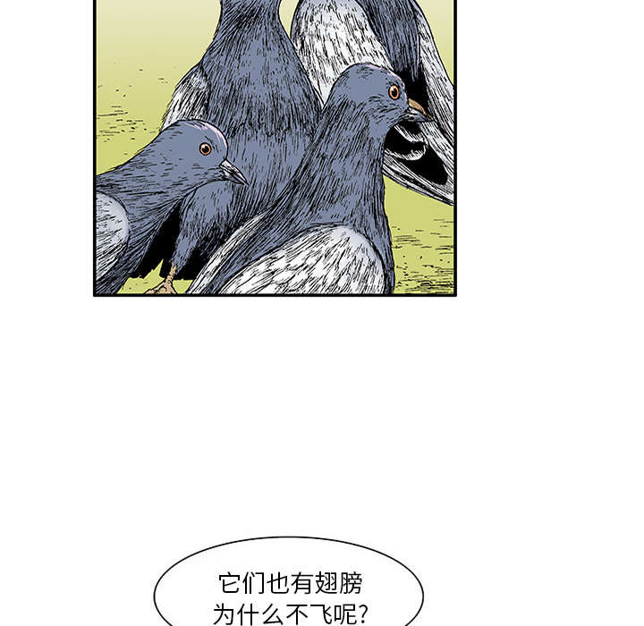 第40章：取代9