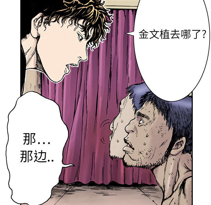 第27章：抓捕金文植29