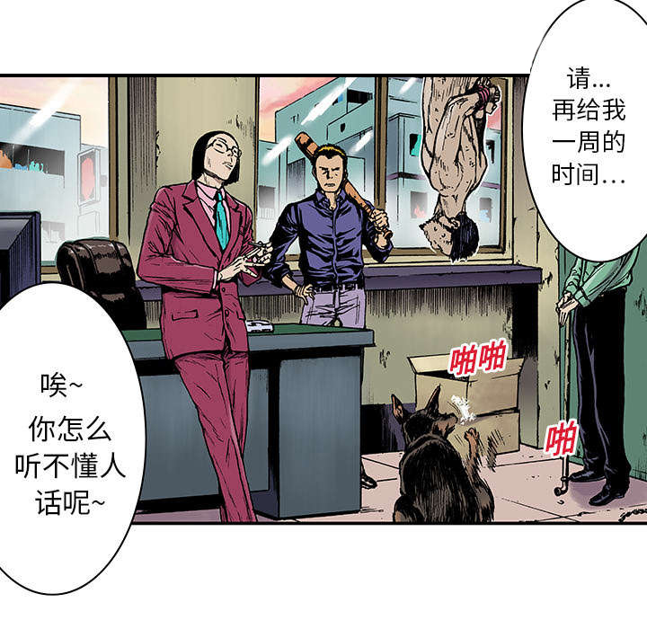 第27章：抓捕金文植13