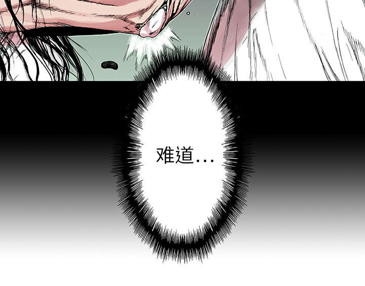 第23章：尸检的可疑之处26