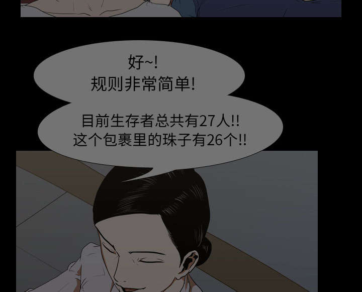 第27章：疯狂29