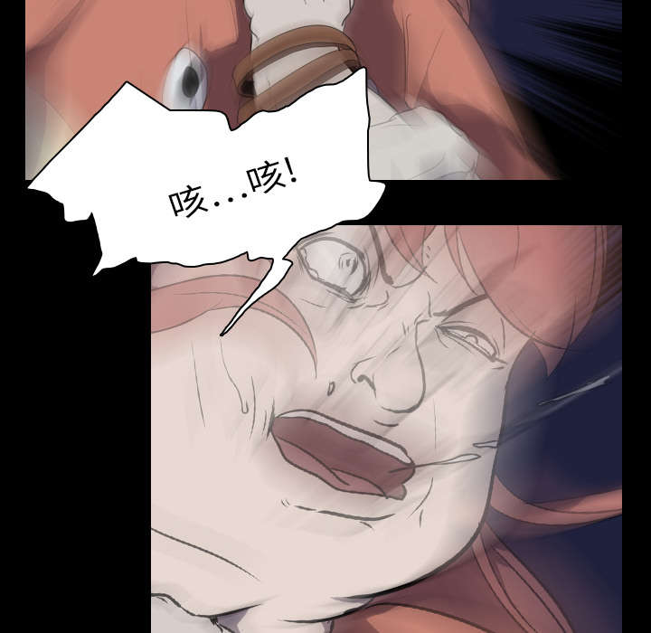 第11章：结果28