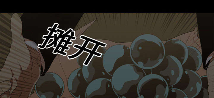 第27章：疯狂27