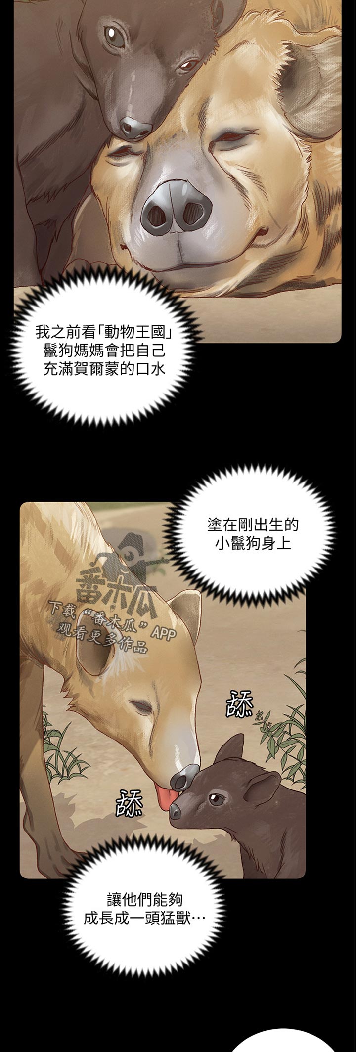 第204章：特别的方式2