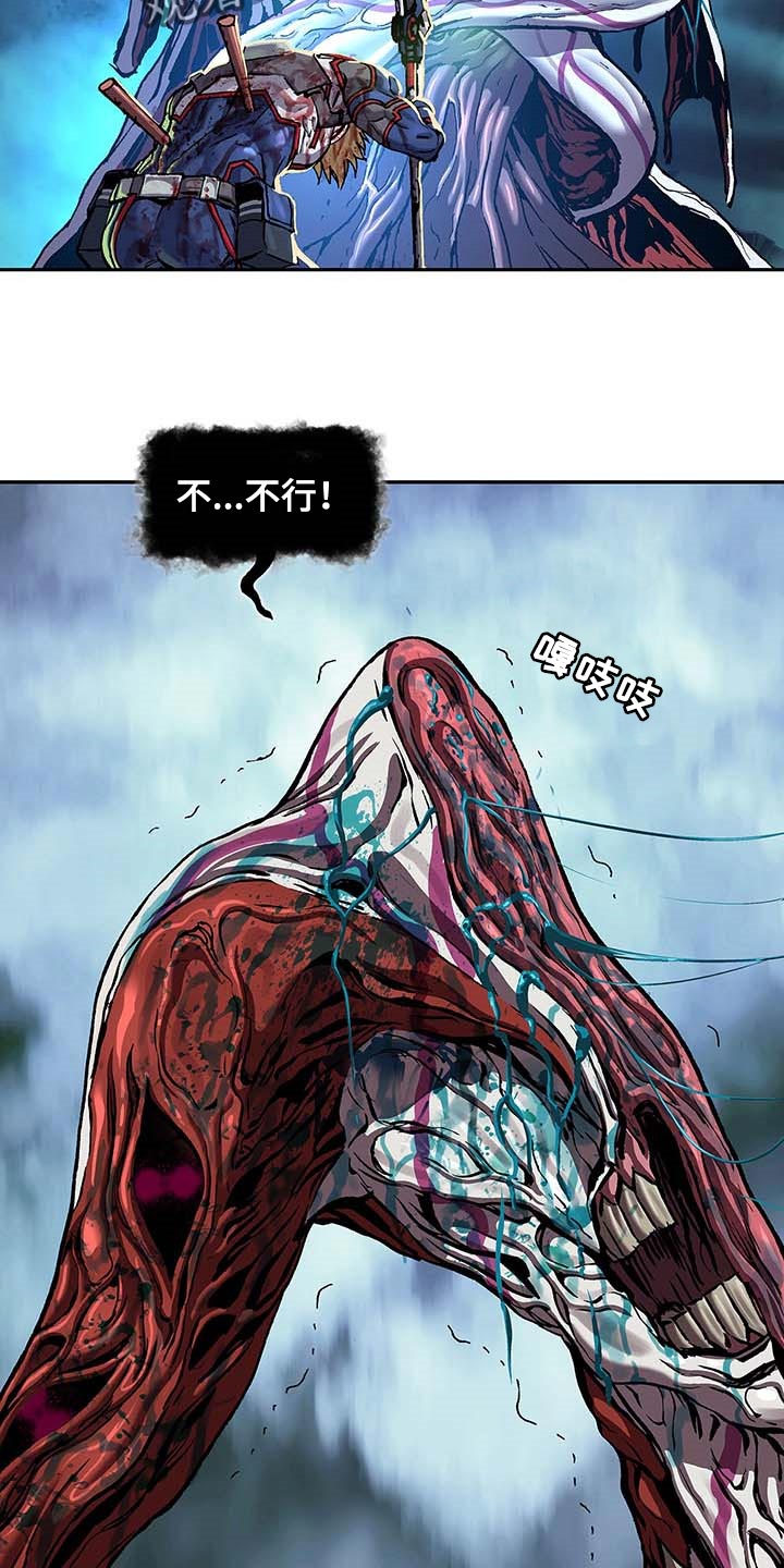 第290章：我赢了19