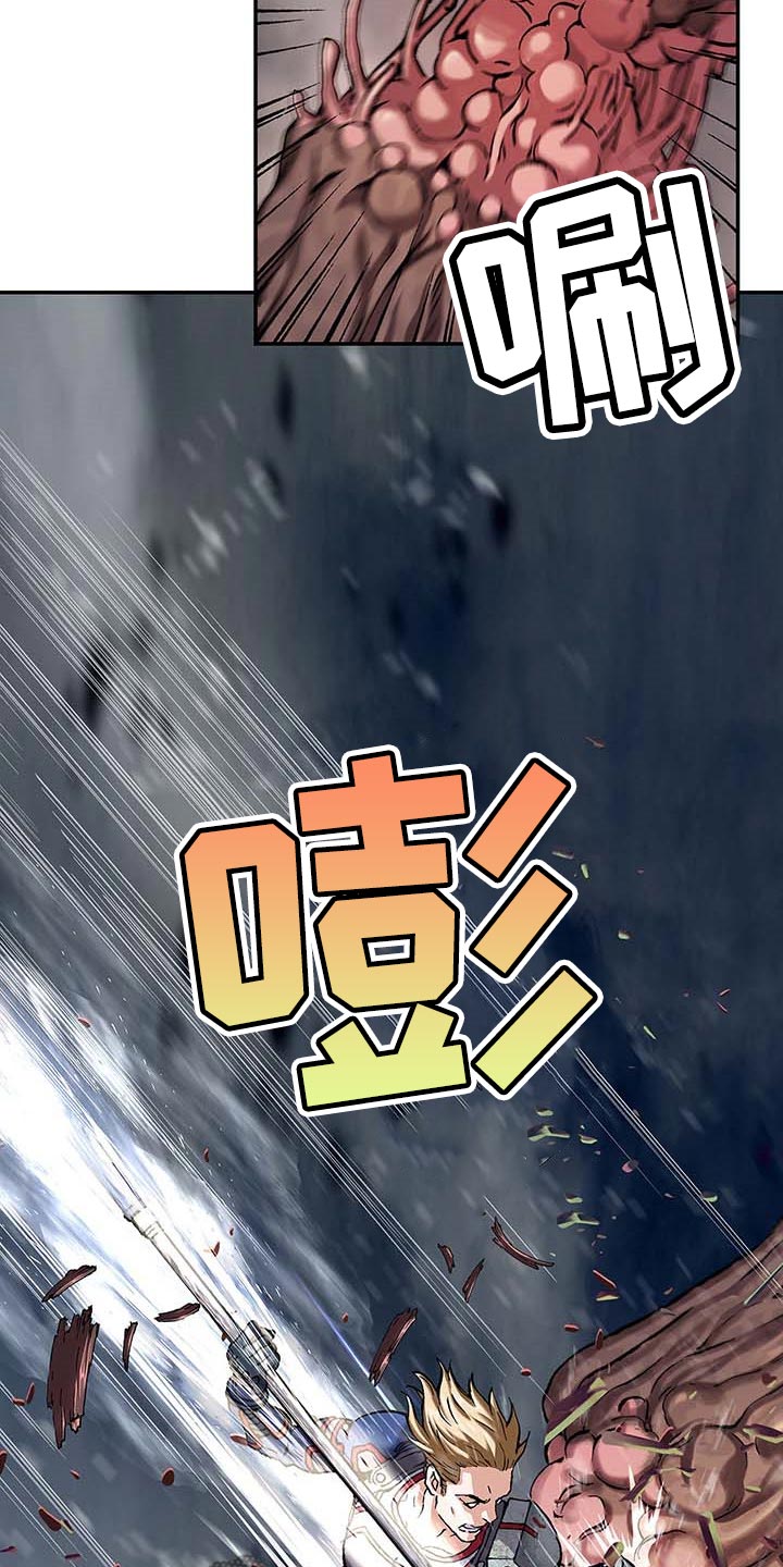 第289章：砍掉了11