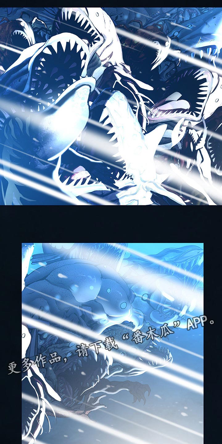 第294章：越远越好19