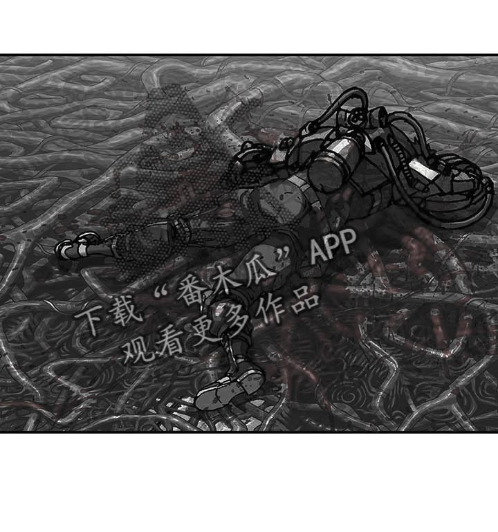 第288章：绝望中消失吧13