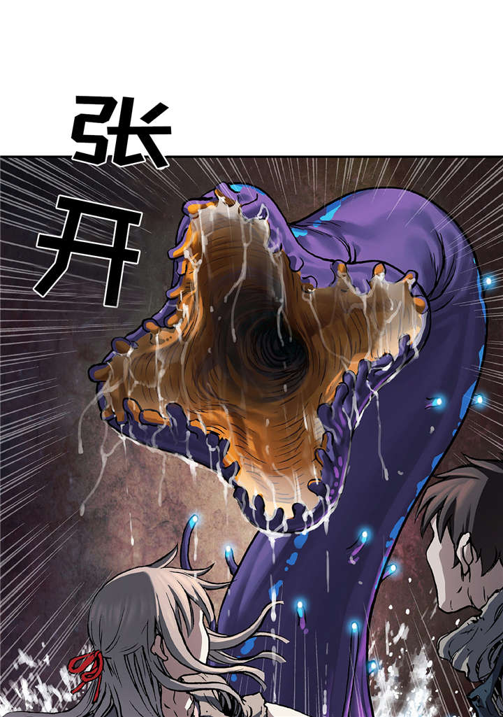 第95章：捕捉0