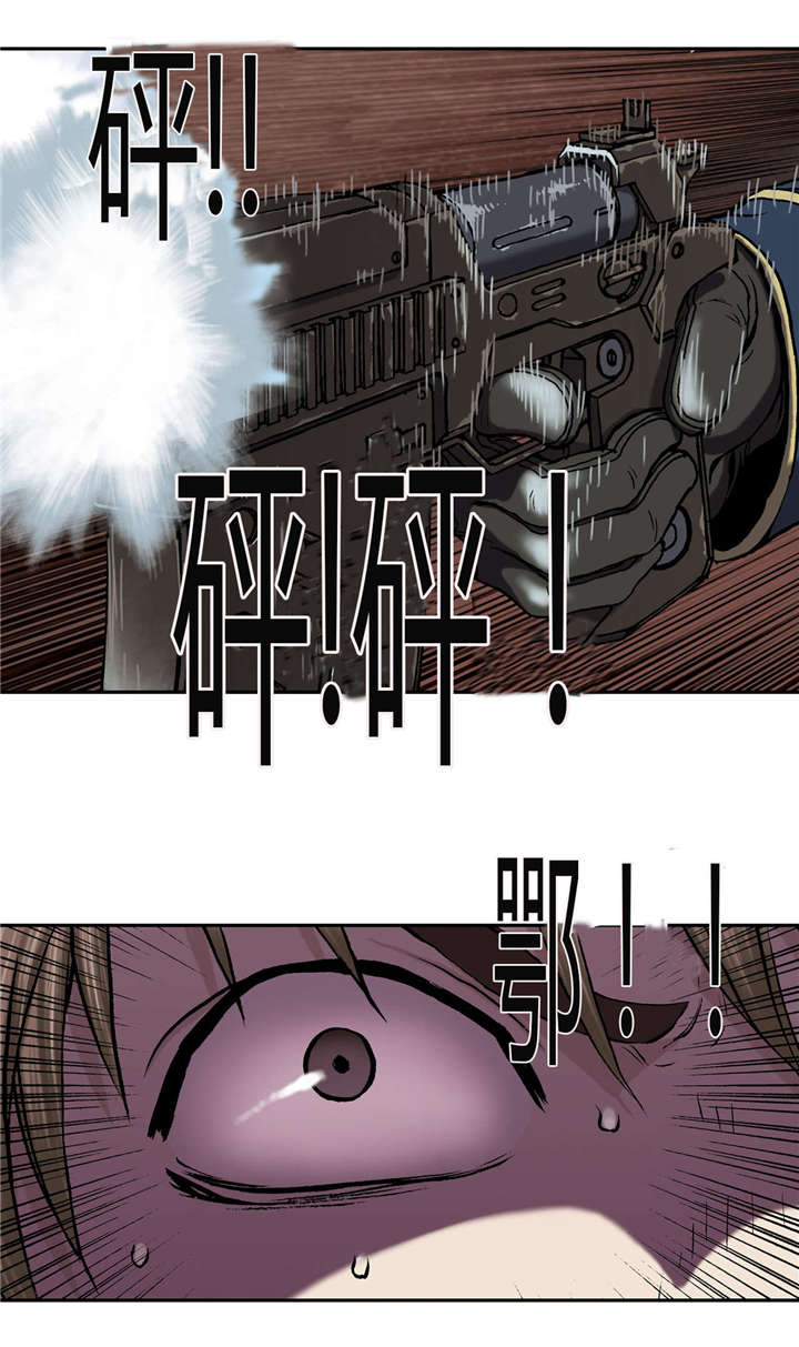 第48章：保护0