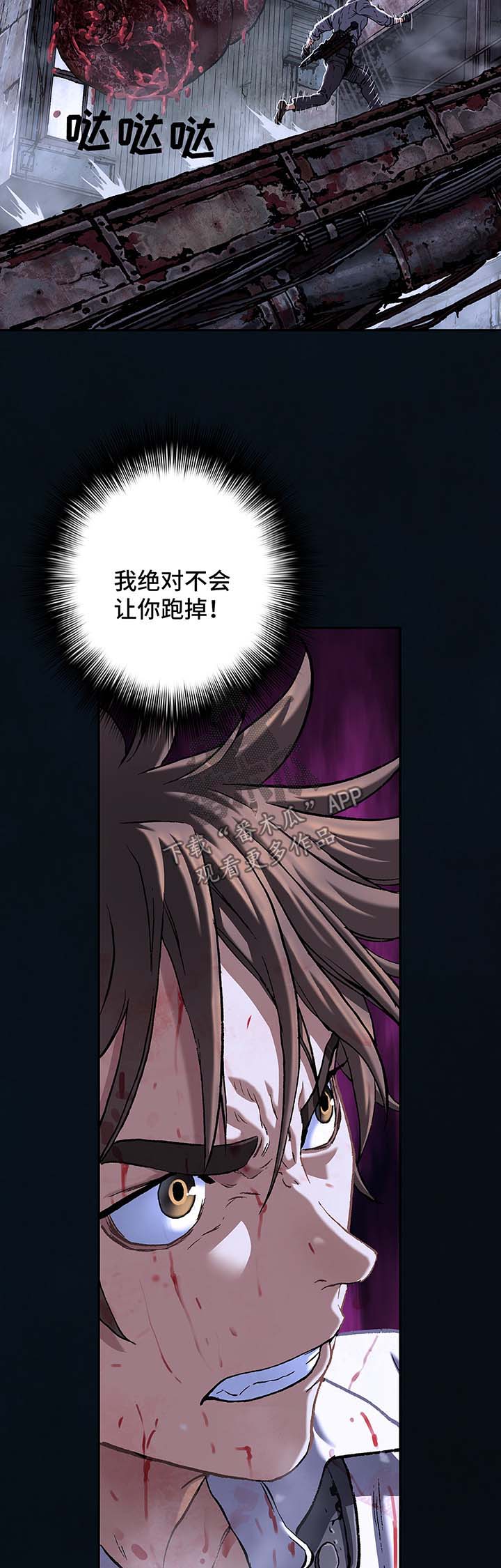 第178章：追逐8
