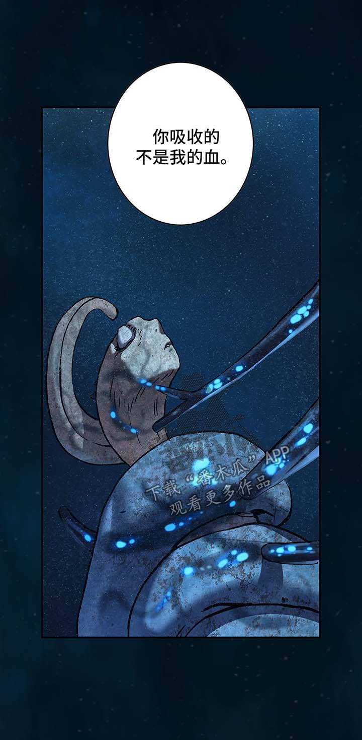 第216章：蟹诺登之毒10