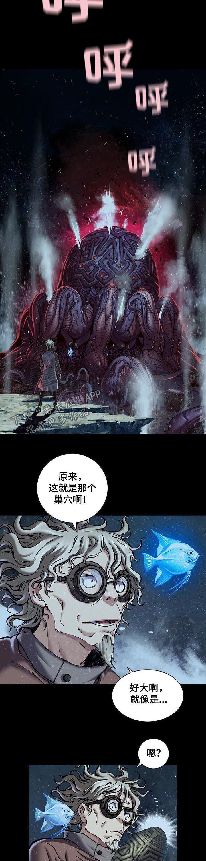第232章：种子11