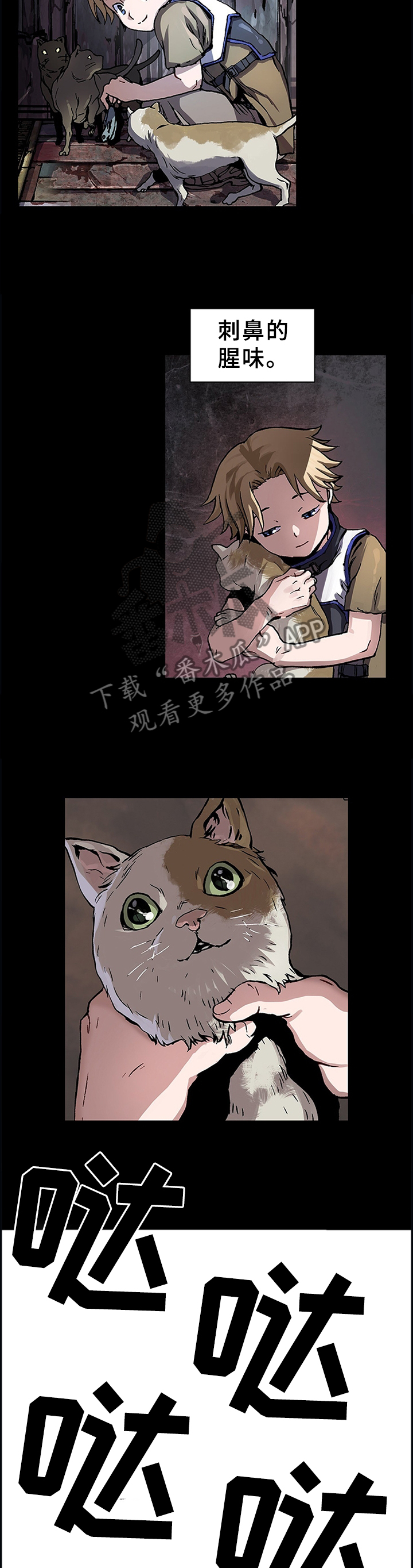 第244章：愈演愈烈3