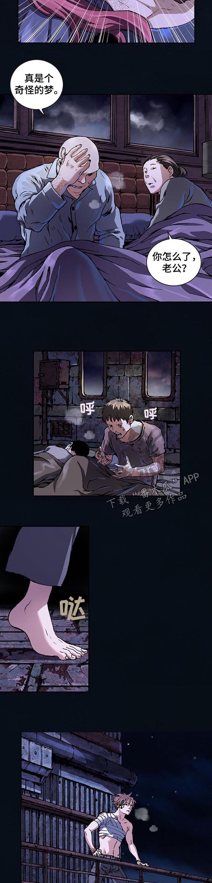 第233章：相同的梦11