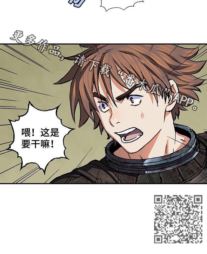 第229章：橄榄枝11