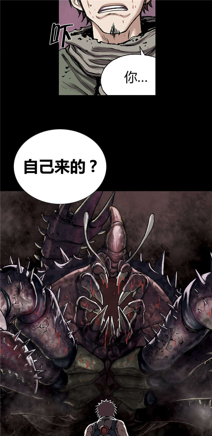 第29章：马泰翁28