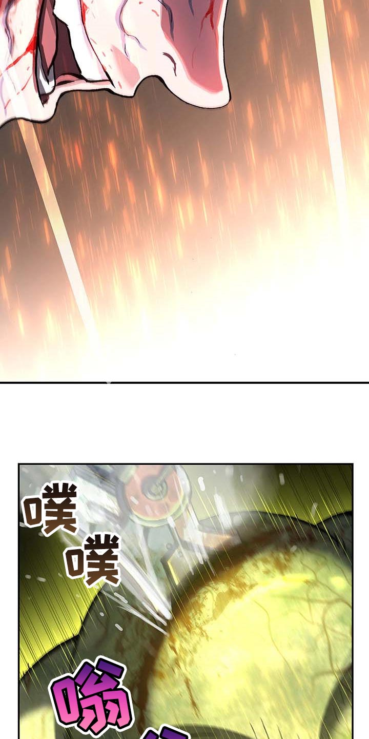 第291章：复活11