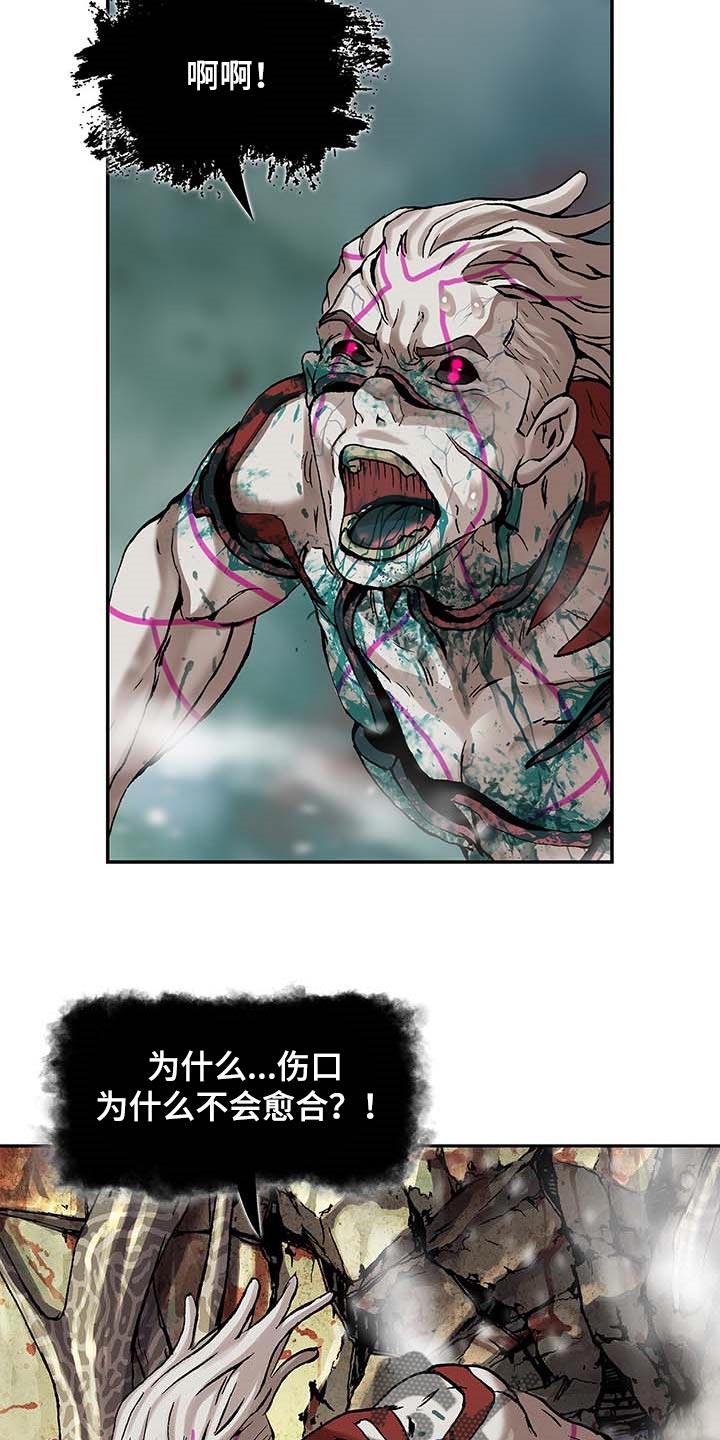 第300章：你在偷看人类2