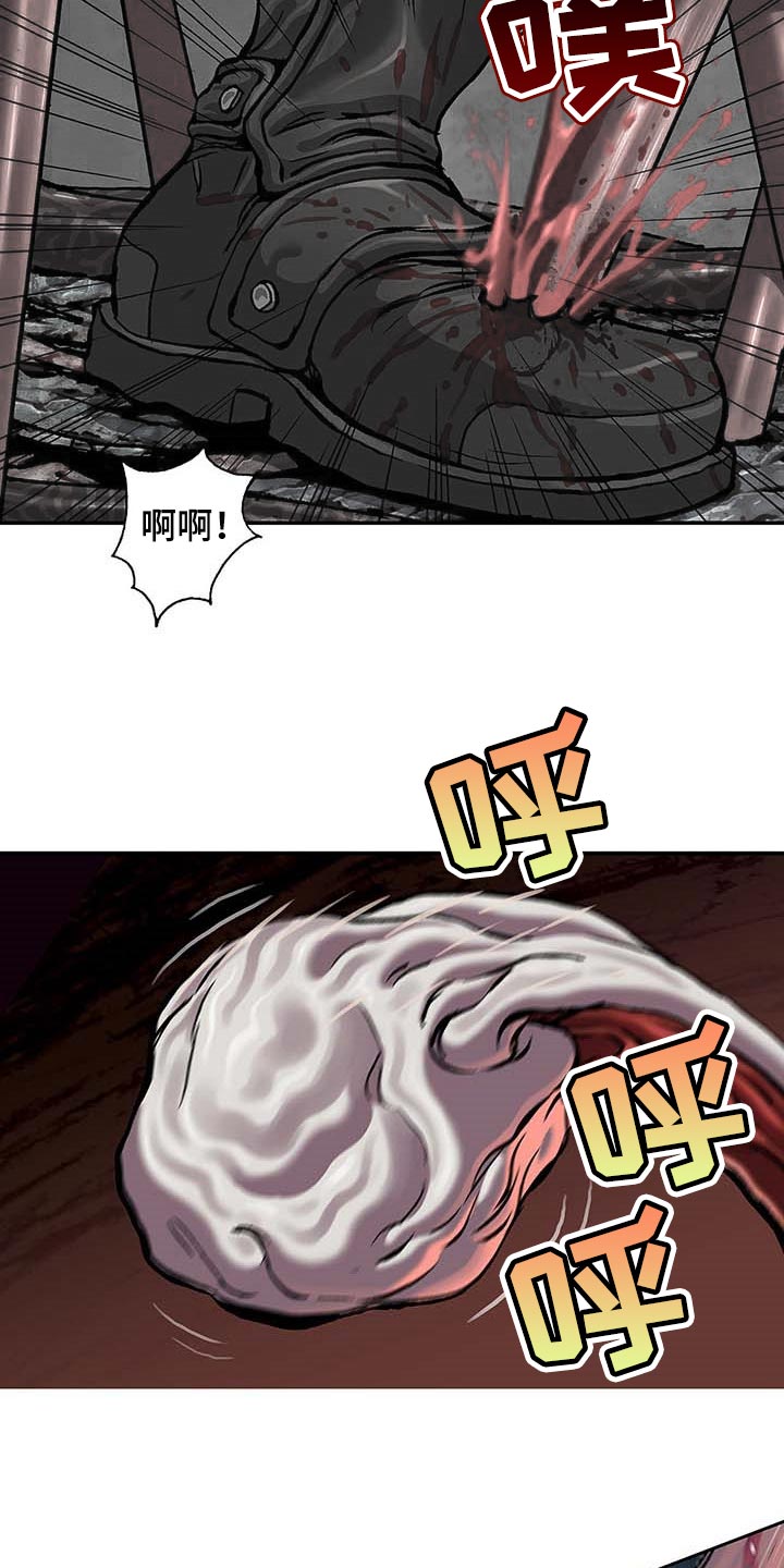 第288章：绝望中消失吧2