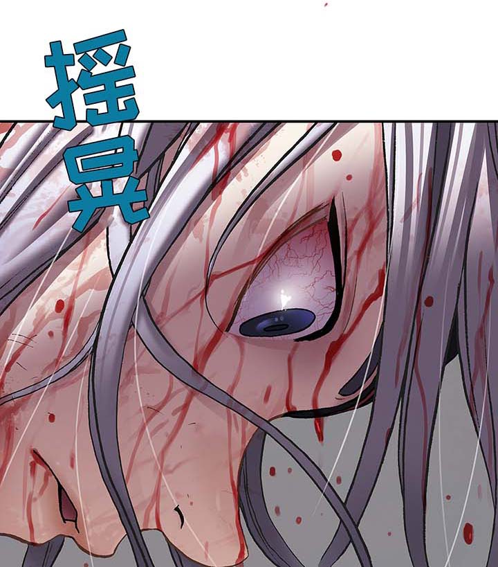 第178章：追逐0